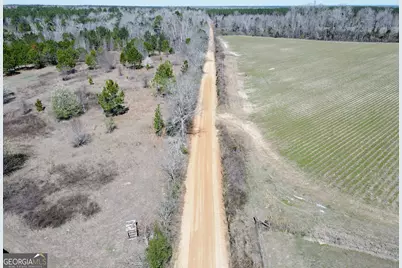 0 Bill Glenn Road, Swainsboro, GA 30401 - Photo 8