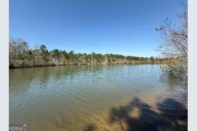 0 Bill Glenn Road, Swainsboro, GA 30401 - Photo 2