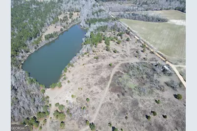 0 Bill Glenn Road, Swainsboro, GA 30401 - Photo 8