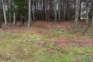 2791 Old Mill Rd, Rutledge, GA 30663 - Photo 26