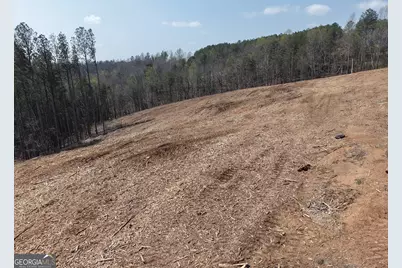 0 Young Loop #7206 PARCEL C, Fairmount, GA 30139 - Photo 2