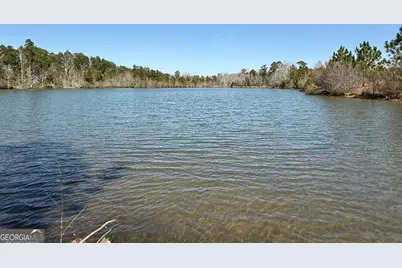 0 Bill Glenn Road, Swainsboro, GA 30401 - Photo 2