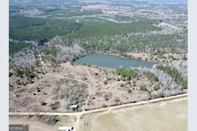 0 Bill Glenn Road, Swainsboro, GA 30401 - Photo 6