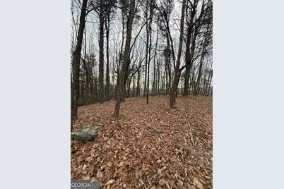 Lot 6 Westmoreland Road, Cleveland, GA 30528 - Photo 4