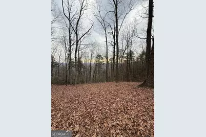 Lot 8 Westmoreland Road, Cleveland, GA 30528 - Photo 2