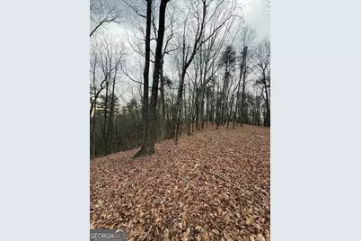 Lot 8 Westmoreland Road, Cleveland, GA 30528 - Photo 4