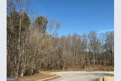 611 McDowell Lane, Bethlehem, GA 30620 - Photo 2