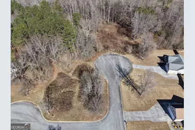 611 McDowell Lane, Bethlehem, GA 30620 - Photo 4