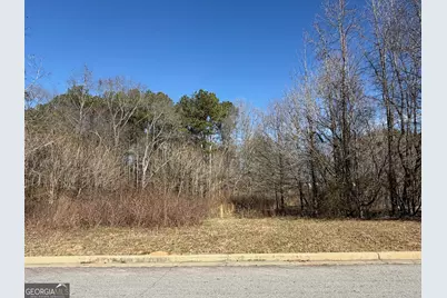 611 McDowell Lane, Bethlehem, GA 30620 - Photo 6