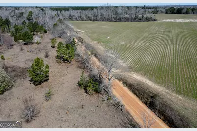 0 Bill Glenn Road, Swainsboro, GA 30401 - Photo 2