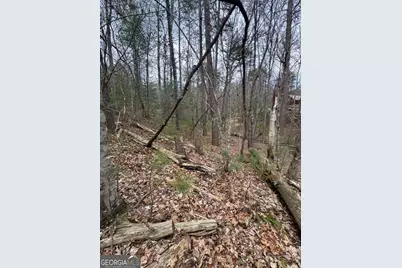 Lot 16R Leatherwood Mountain Road, Cherrylog, GA 30522 - Photo 8