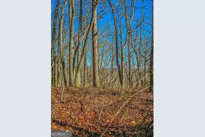 0 River Highlands Road, Dahlonega, GA 30533 - Photo 10