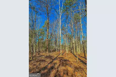 0 River Highlands Road, Dahlonega, GA 30533 - Photo 14