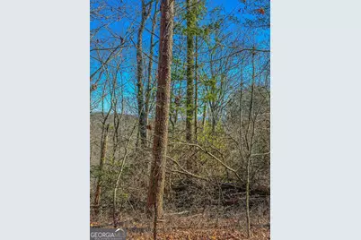 0 River Highlands Road, Dahlonega, GA 30533 - Photo 22