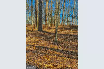 0 River Highlands Road, Dahlonega, GA 30533 - Photo 8