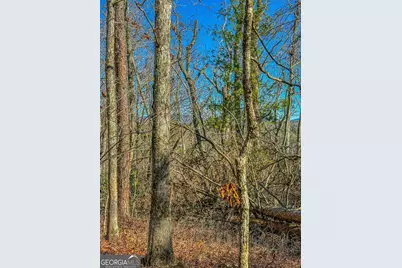 0 River Highlands Road, Dahlonega, GA 30533 - Photo 16