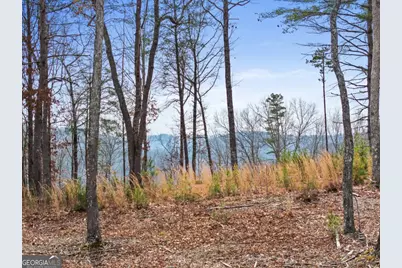 Lot 162 Ridges Of Blue Ridge, Morganton, GA 30560 - Photo 12