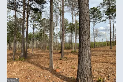 145 Falls Lane, Milledgeville, GA 31061 - Photo 30