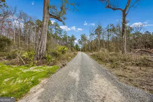 336 Woodland Way, Kingsland, GA 31548 - Photo 56