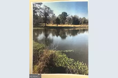 0 Henry-Mimbs, Hazlehurst, GA 31539 - Photo 1