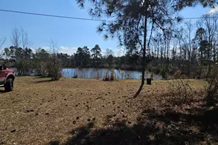 2464 &amp 2470 Savannah Hwy, Sylvania, GA 30467 - Photo 8