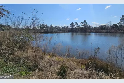 2464 &amp; 2470 Savannah Highway, Sylvania, GA 30467 - Photo 8