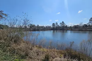 2464 &amp 2470 Savannah Hwy, Sylvania, GA 30467 - Photo 8