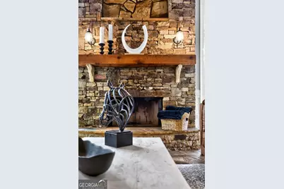 47 Fern Leaf Way, Newnan, GA 30265 - Photo 24