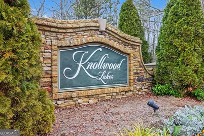 1239 Wood Iris Lane, Lawrenceville, GA 30045 - Photo 38