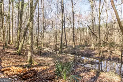 1751 Ga Highway 247 S, Kathleen, GA 31047 - Photo 52