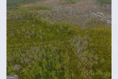 569 Liberty Court, Jesup, GA 31546 - Photo 36