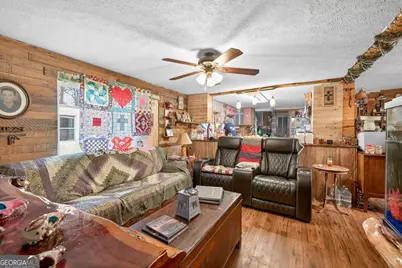 1719 Harber Road, Carnesville, GA 30521 - Photo 36