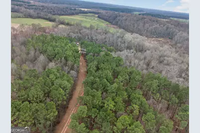 1719 Harber Road, Carnesville, GA 30521 - Photo 8