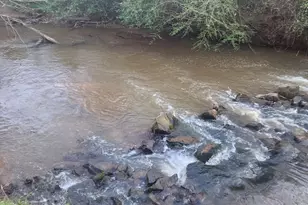 1719 Harber Rd, Carnesville, GA 30521 - Photo 52