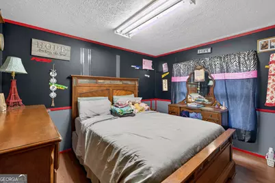 1719 Harber Road, Carnesville, GA 30521 - Photo 24