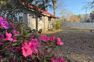 198 Holmesville Ave, Baxley, GA 31513 - Photo 2