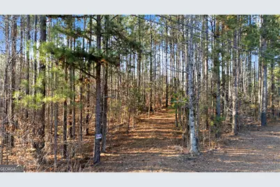 598 Pea Ridge Road, Juliette, GA 31046 - Photo 16