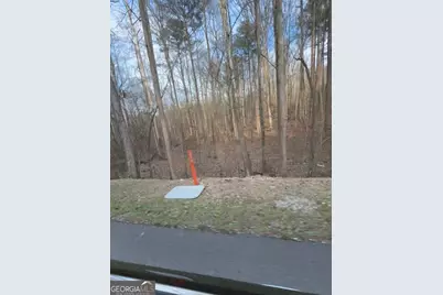 0 Cascade Palmetto Highway, Fairburn, GA 30213 - Photo 4