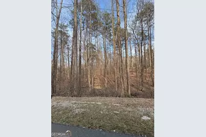 0 Cascade Palmetto Highway, Fairburn, GA 30213 - Photo 2