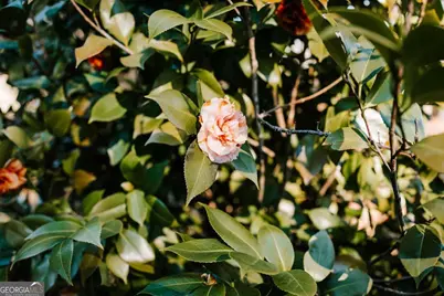 119 Ralph Bridges Road, Lexington, GA 30648 - Photo 48