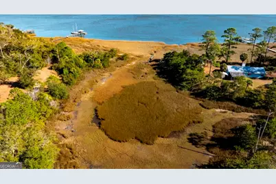 0 Cattle Hammock Road, Midway, GA 31320 - Photo 8