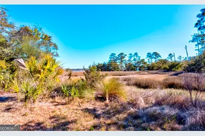 0 Cattle Hammock Road, Midway, GA 31320 - Photo 2