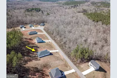 1617 Hunter Welch Parkway, Luthersville, GA 30251 - Photo 4