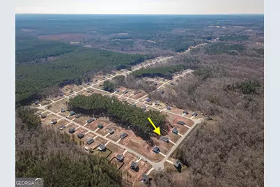 1617 Hunter Welch Parkway, Luthersville, GA 30251 - Photo 46