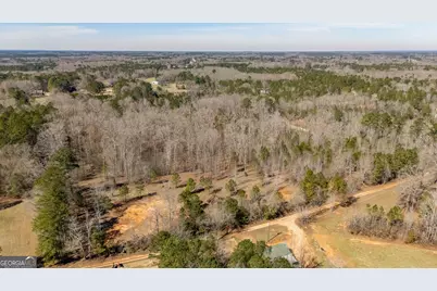 0 Hamlin Road, Jackson, GA 30233 - Photo 8