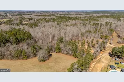 0 Hamlin Road, Jackson, GA 30233 - Photo 12