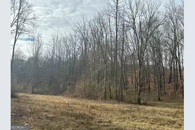 111 Riversong (Tract 26), Carrollton, GA 30117 - Photo 56