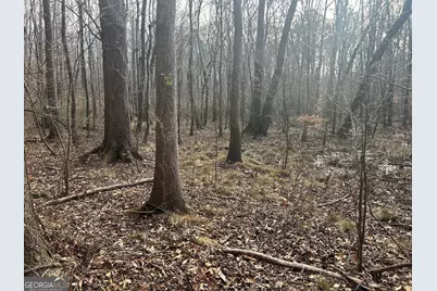 111 Riversong (Tract 26), Carrollton, GA 30117 - Photo 68