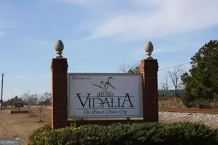 1833 Tom Odum Rd, Vidalia, GA 30474 - Photo 62