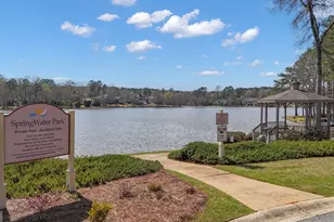 75 Springwater Crossing, Newnan, GA 30265 - Photo 66